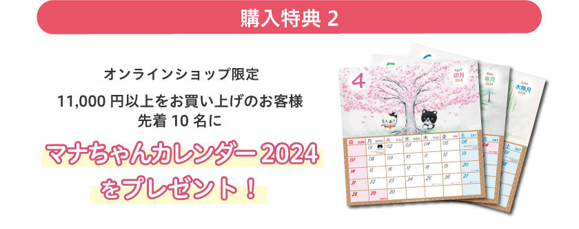 20240406_buppancampeign-2-2.jpg