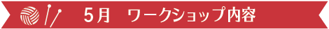 5月　ワークショップ内容