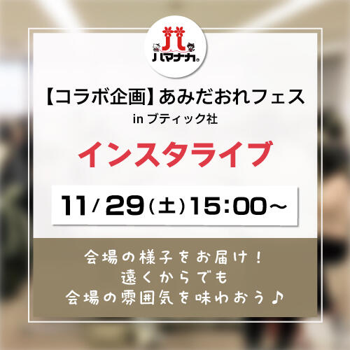 11月29日配信