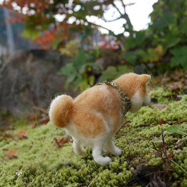 ふんばりポーズの柴犬ワンコ