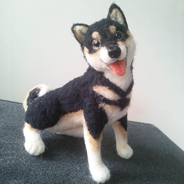 アイドルポーズで、黒柴犬ちゃん