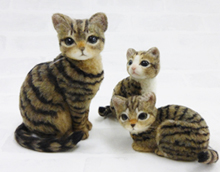 キジトラの親子