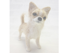 わが家の愛犬