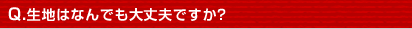 Q.n͂Ȃłvł?