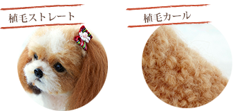 AуXg[g@AуJ[