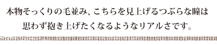 {̖ѕ݁AグԂȓ
v킸グȂ悤ȃAłB