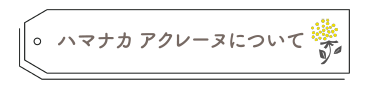 ハマナカアクレーヌについて